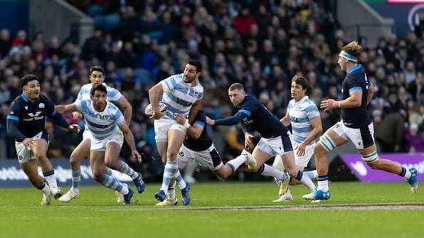 Los Pumas vs. Escocia